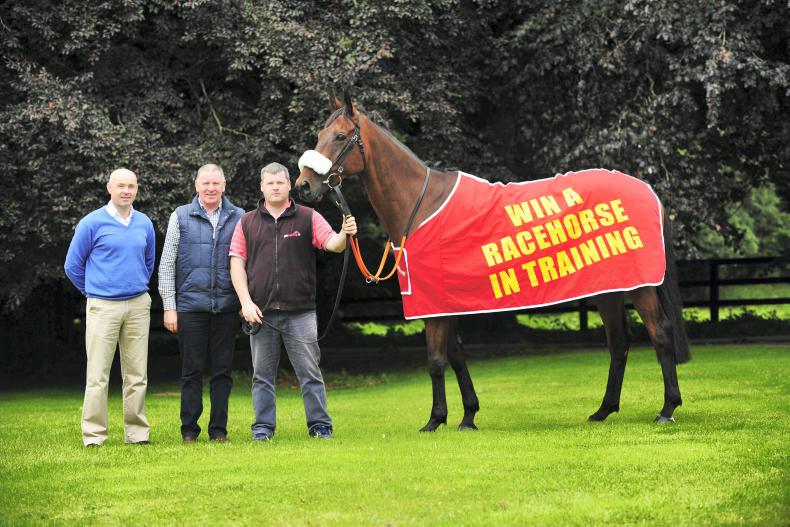 PONY TALES:  Win a racehorse for a year