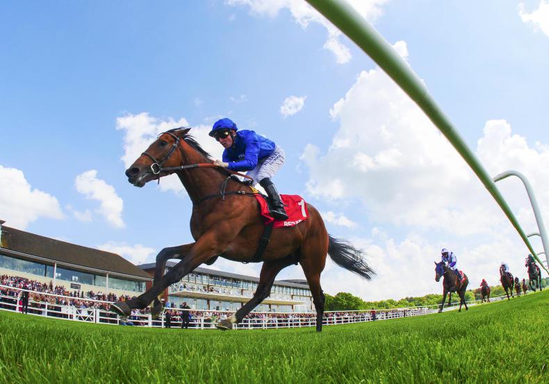 McCracken's gamble pays off handsomely 