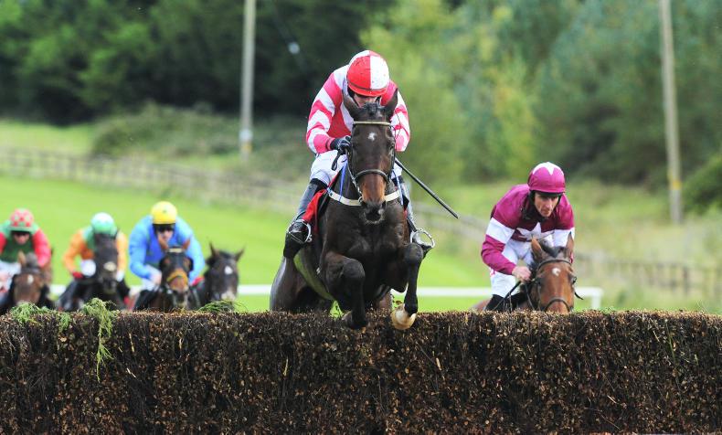 Munster National winner given Newbury option