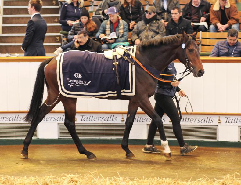 TATTERSALLS HORSES IN TRAINING SALE: Low-key conclusion to a sterling week