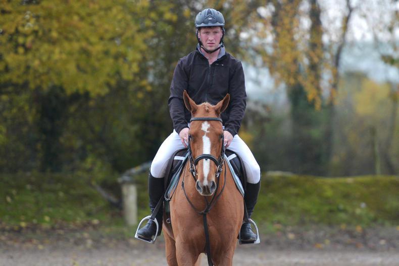 GORESBRIDGE SALES PREVIEW:  Higgins prepping eight lots