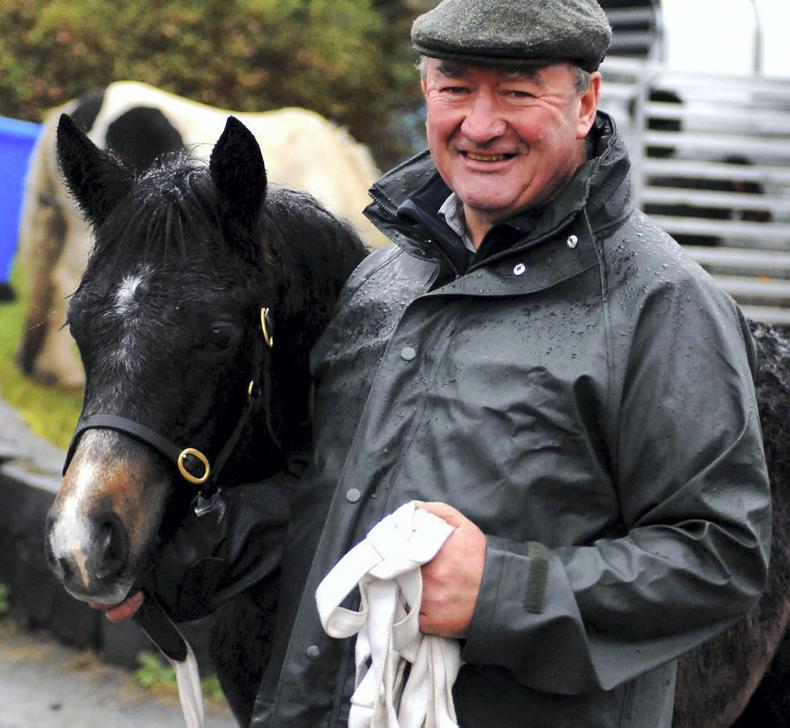 Irish Horse World Fixtures, November 4th 2017 