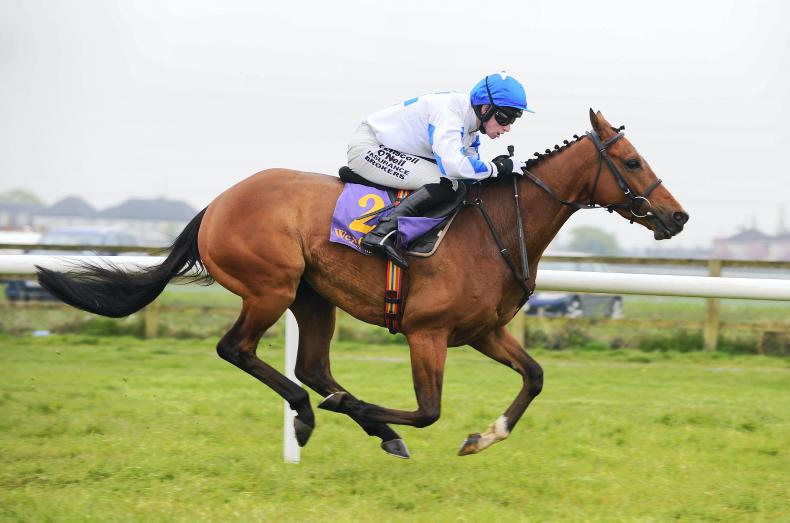 LADBROKES NAP TABLE: Selections for weekend November 4/5th