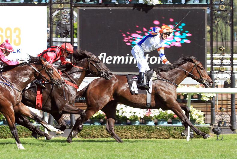 AUSTRALIA: Hey Doc triumphs                              