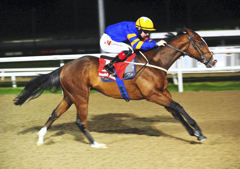 Colin Keane can't be caught in title race