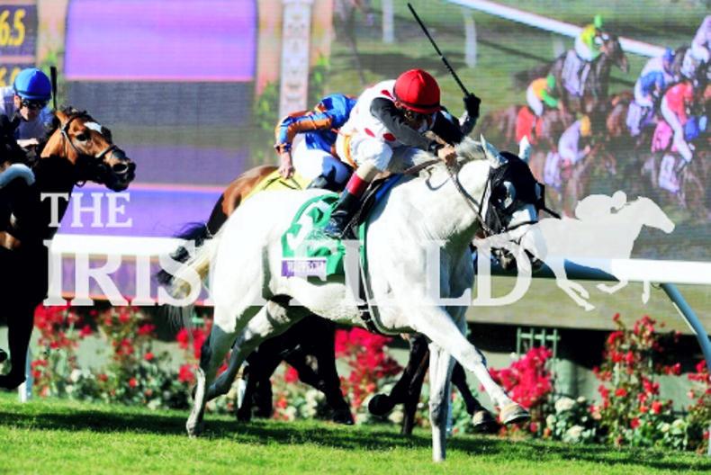 World Approval too good for European raiding party in Breeders' Cup Mile