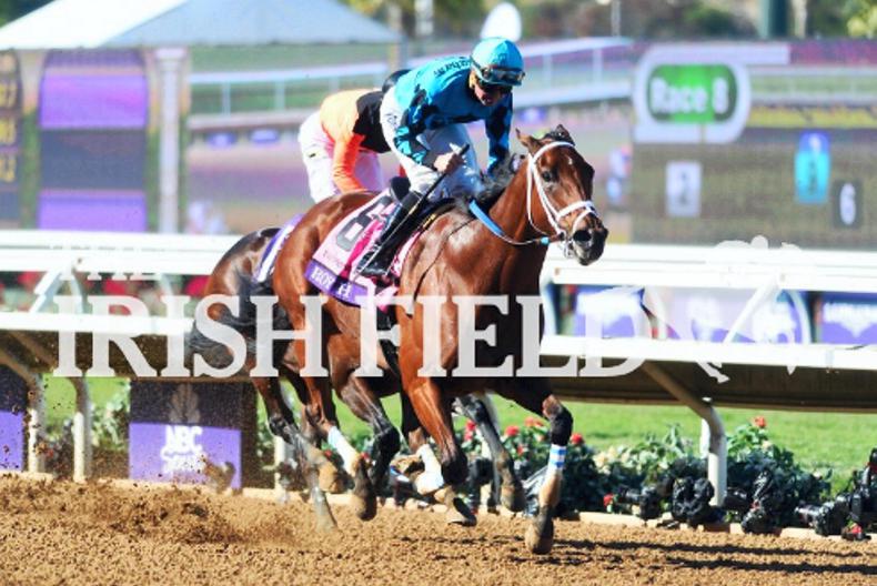 VIDEO: Amazing Bredeers' Cup double for trainer Peter Miller