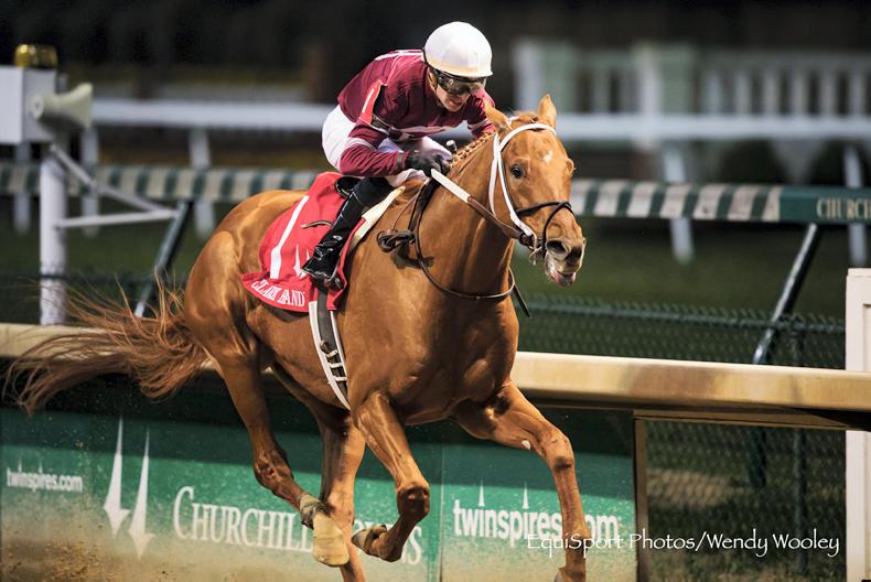 VIDEO: Gun Runner confirms champion status in Breeders' Cup Classic