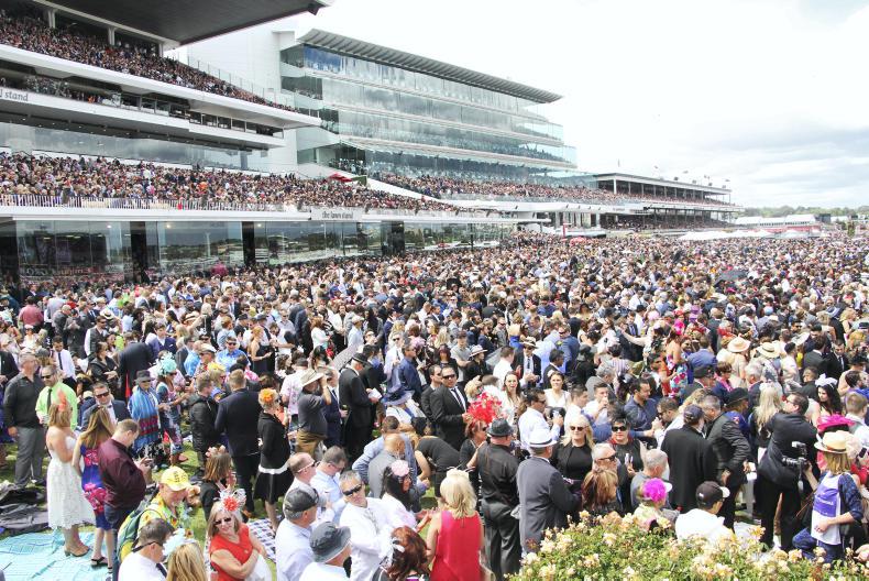 MONDAY OUTLOOK:  In love with the flat version of Cheltenham