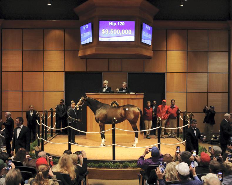 Coolmore Stud buys Tepin for $8 million