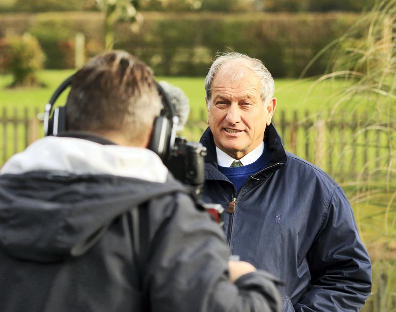 LIVERPOOL INTERNATIONAL HORSE SHOW:  Champion's winning ways!