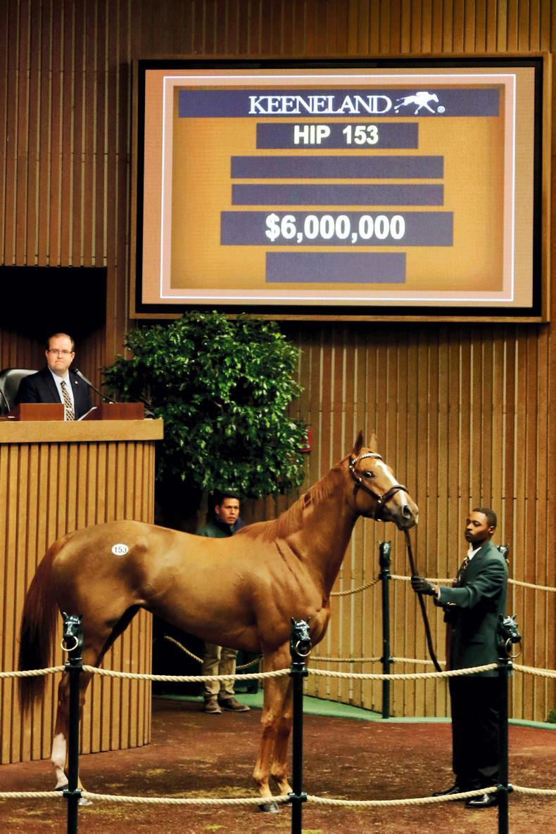Coolmore Stud pays $6 million for Stellar Wind 