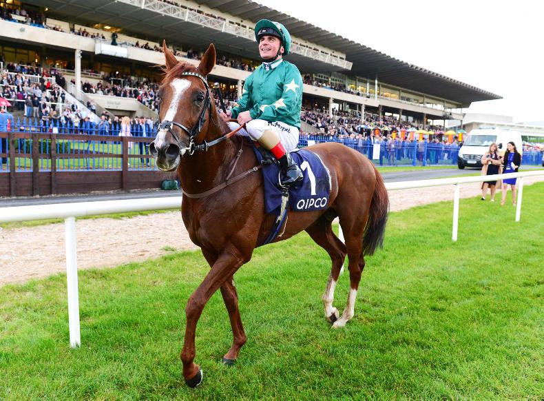 Decorated Knight to stand at Irish National Stud