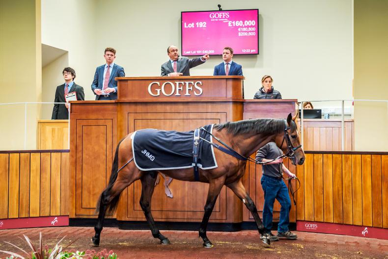 John Gosden-trained Joshua Reynolds tops Autumn Sale at £160,000