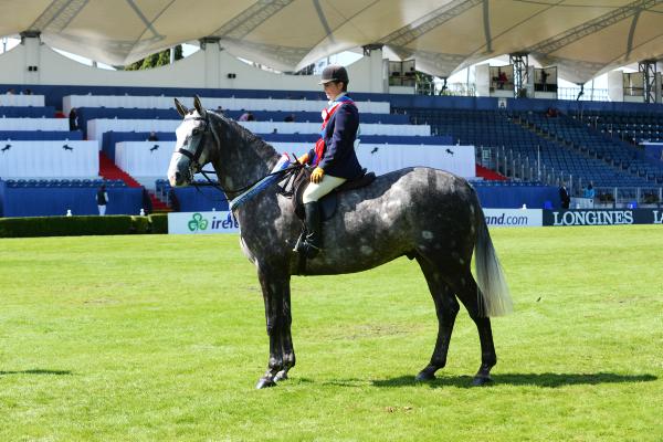 Sales aplenty at Dublin Horse Show