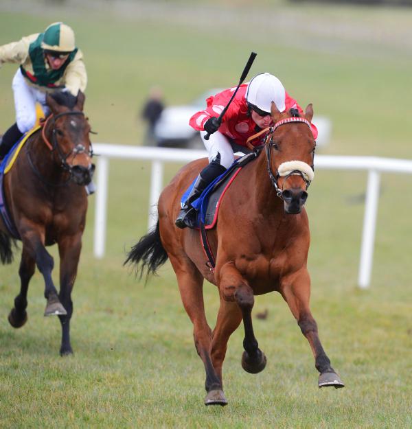 Maarek can make it for McCutcheons