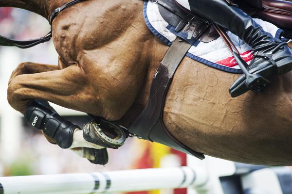 Home success for Meredith Jackson 