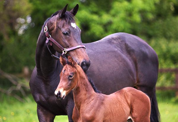 Tip top shape, without the weight! 