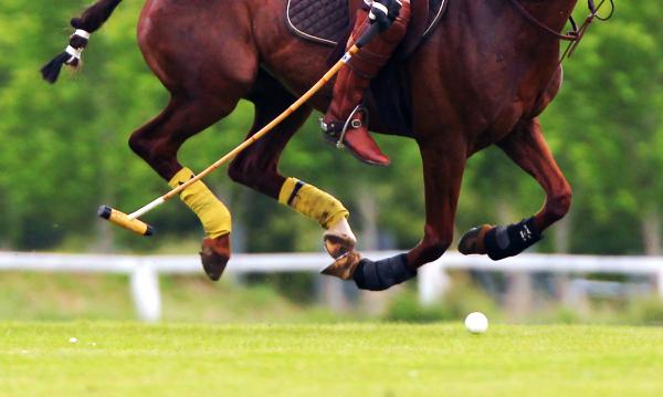 Tyrone and Horseware draw for the Freebooters Cup
