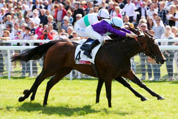 Gutsy Queen holds on           