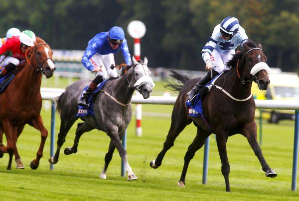 Captain Cat makes no mistake this time