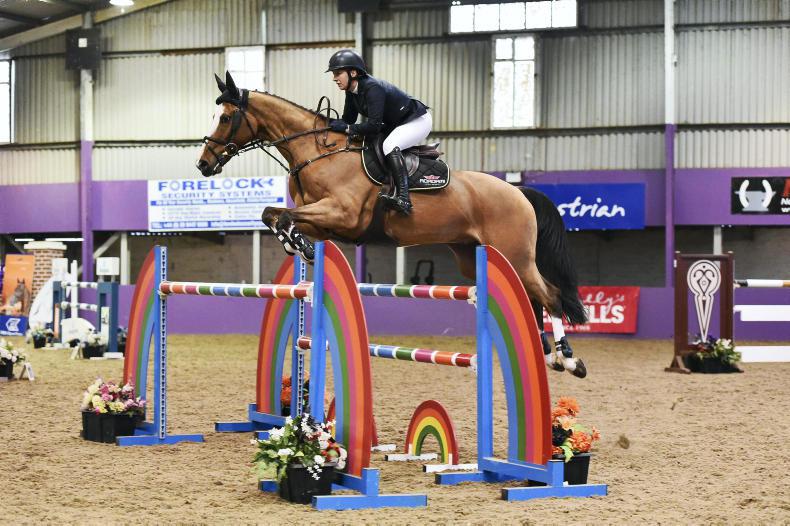 Show Jumping Show jumping Ireland Sport Horse