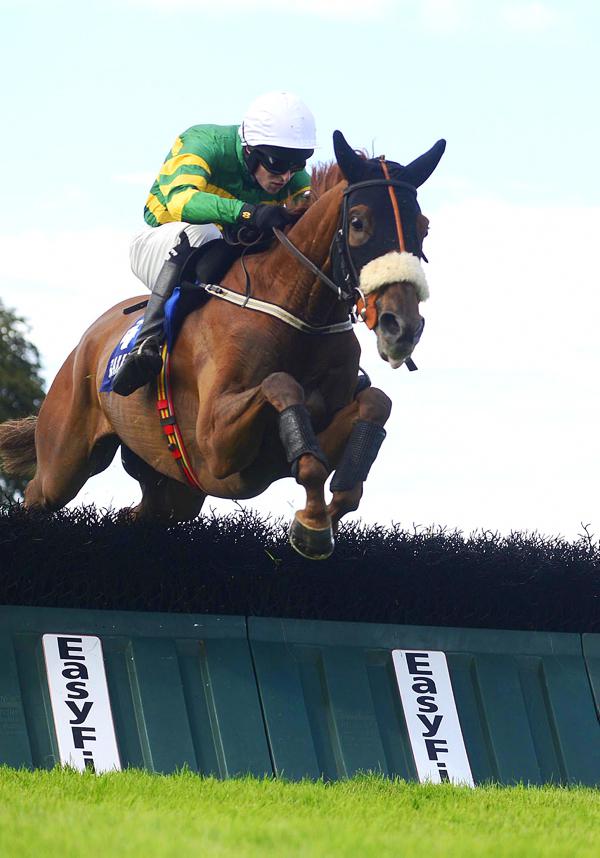 Baby Whizz has strong claims for another win